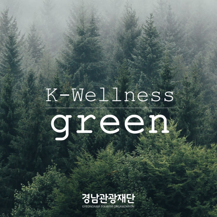  경남관광재단과 함께하는 웰니스 여행 : 단 한 시간만 혜택이 쏟아집니다 (2021 내나라여행박람회)
