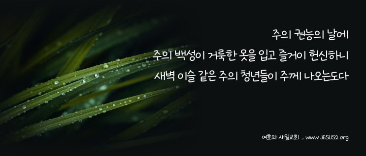 마태복음 2장 12절 마태복음 2장 12절