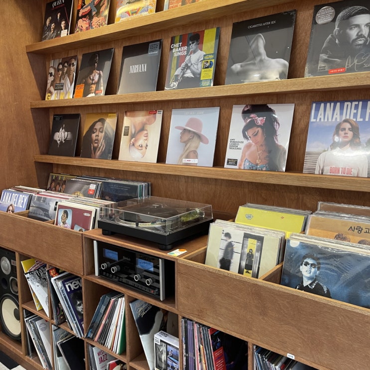  대구가볼만한곳 교동 소품샵 홀리데이비지터샵 Holiday visitorshop