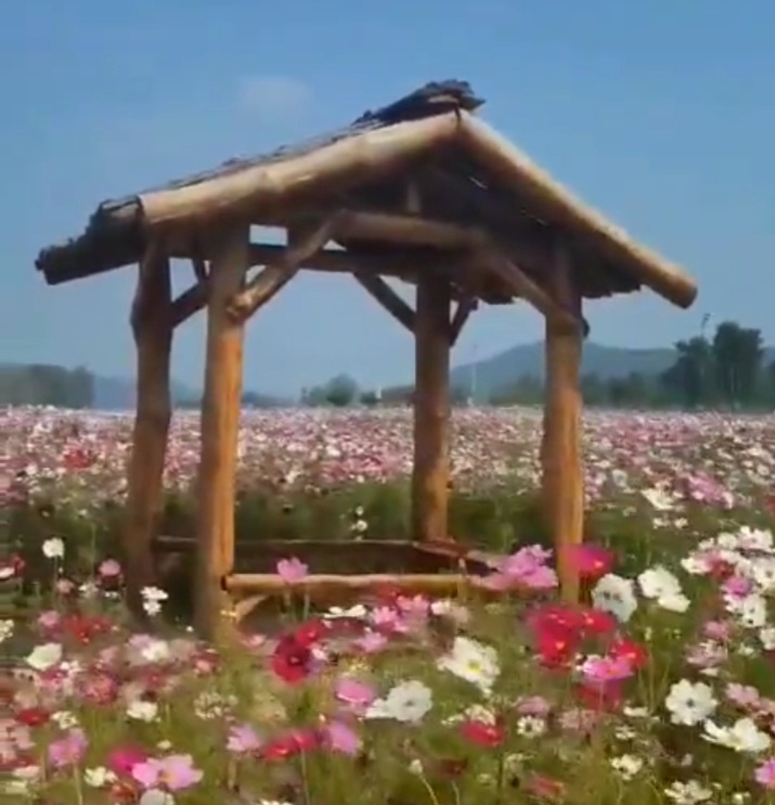 마음 밭에 꽃을 가꾸리라 마음 밭에 꽃을 가꾸리라