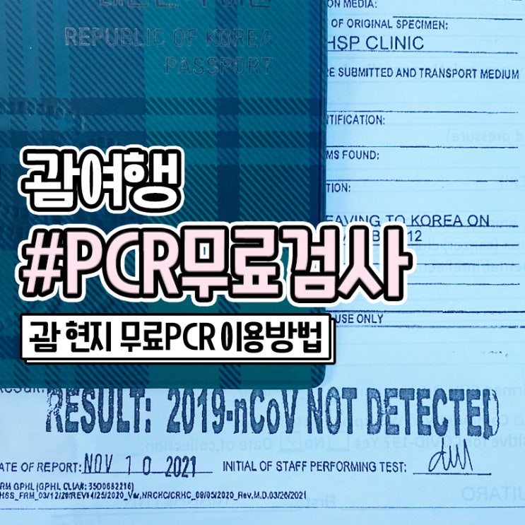  괌 여행 무료 코로나 PCR 검사 방법
