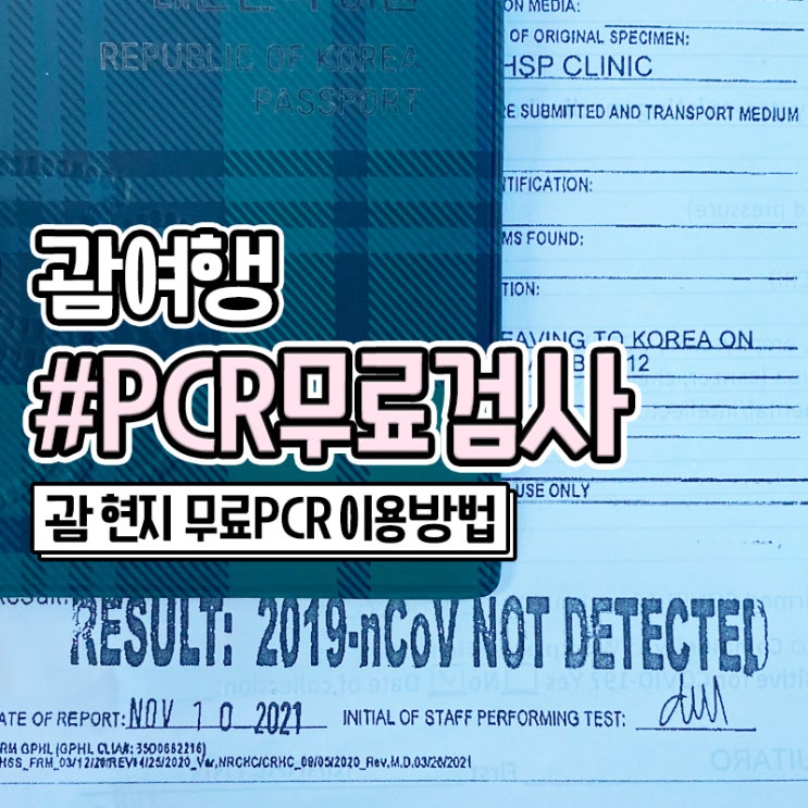 괌 여행 무료 코로나 PCR 검사 방법