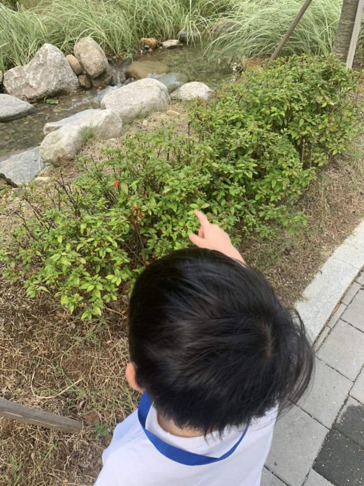  똥차가고 벤츠온다 .4 (완)