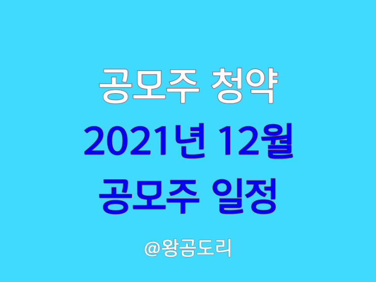  2021년 12월 공모주 일정 래몽래인 오토앤 청약