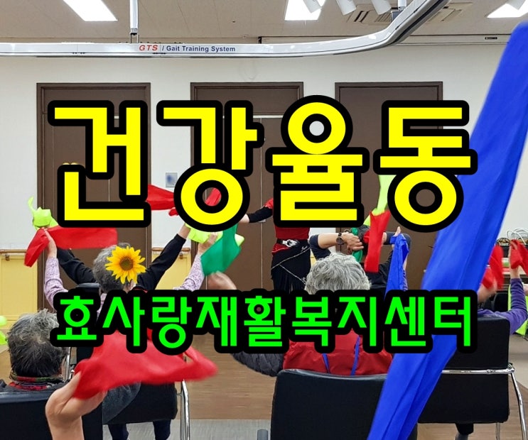  동탄 화성 병점 주간보호 센터/방문요양/효사랑재활복지센터/건강과 율동