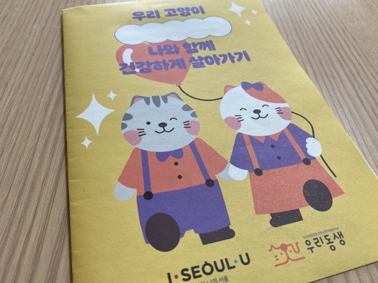 캣타워, 스크래쳐, 이동장, 산책, 고양이와 건강하게 살아가기