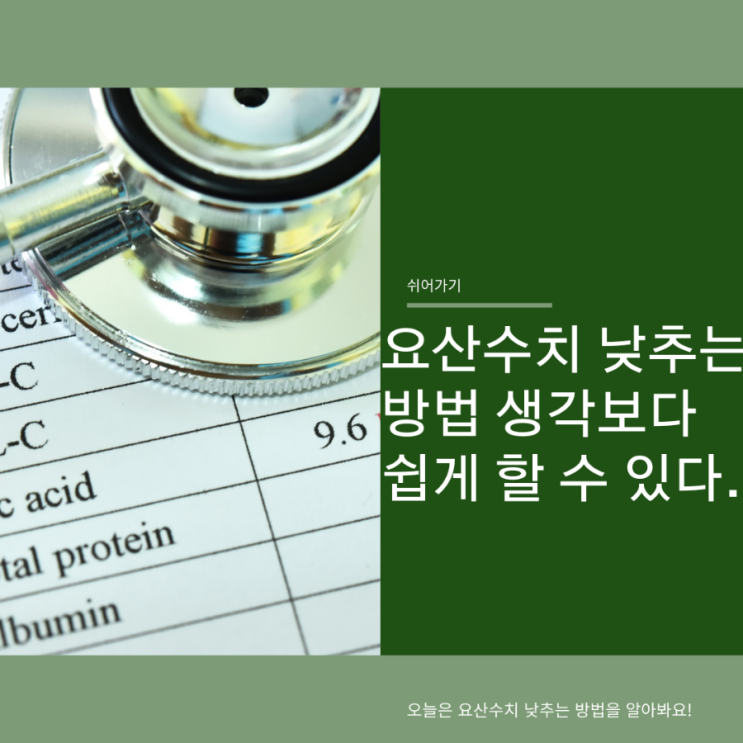  요산수치 낮추는법 건강을 위해 꼭 조절해야 되요.