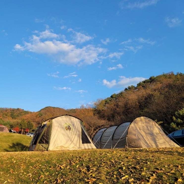 골프장 잔디 위에서 다섯번째캠핑 김천 하늘정원