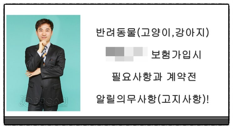  반려동물(고양이,강아지) 보험가입시 필요사항과 계약전 알릴의무사항(고지사항)!