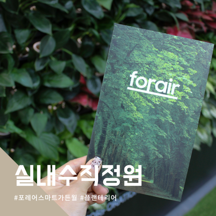  똑똑한 실내수직정원 플랜테리어 포레어 스마트가든월