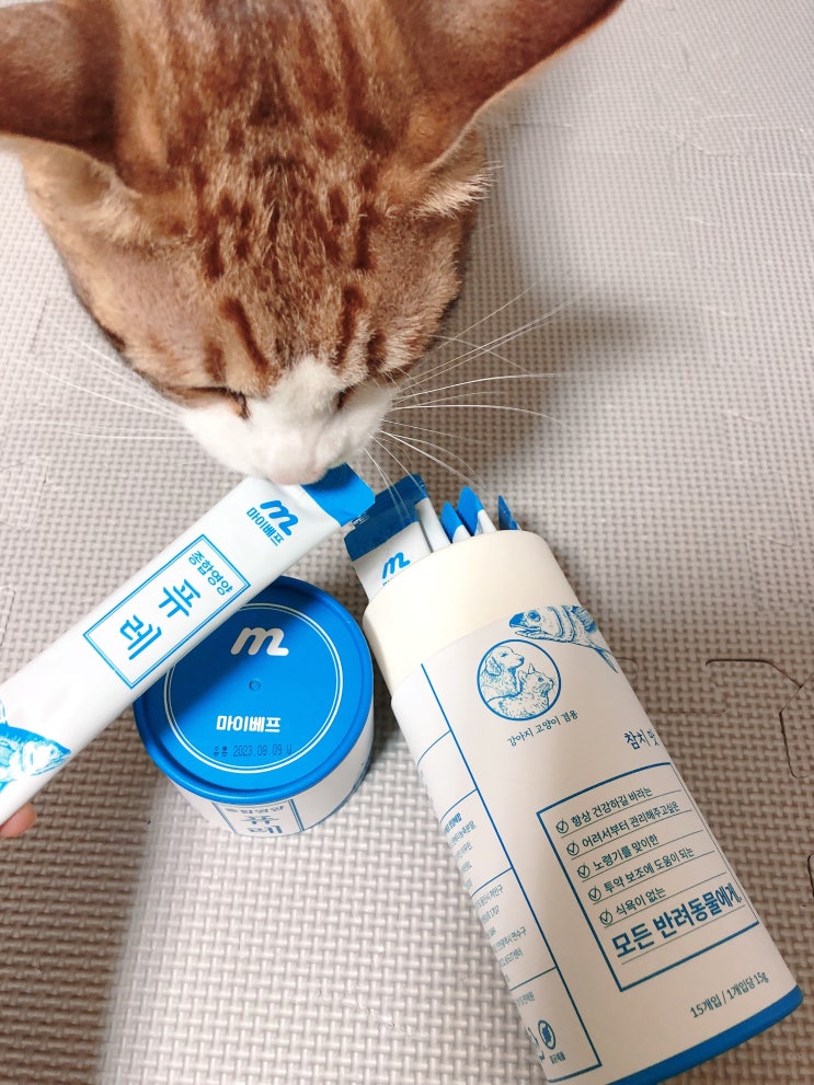 고양이 건강을 위한 퓨레 :마이베프 종합 영양 퓨레 참치맛 후기!