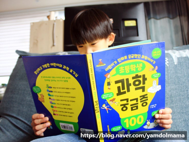  초등과학도서 초등학생 과학 궁금증 100 교과연계 이어가기