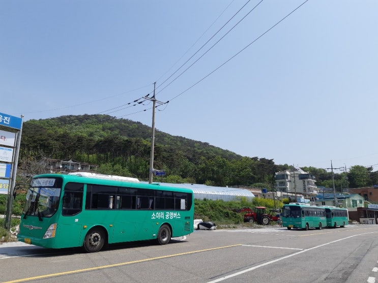 덕적면공영버스(인천 옹진) (소야리) 공영버스 무번호 현대 그린시티(인천 76바 8028)