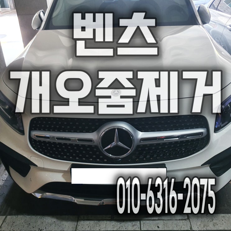  시트분리세척으로 자동차에 묻은 개오줌제거 가격문의 벤츠GLS 군포