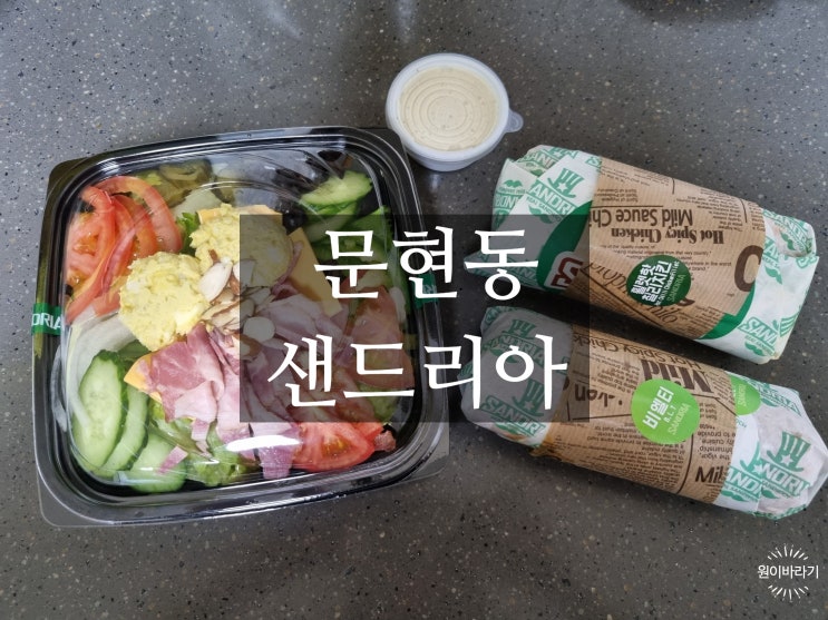 문현동 샌드위치 맛집 샐러드가 신선한 샌드리아