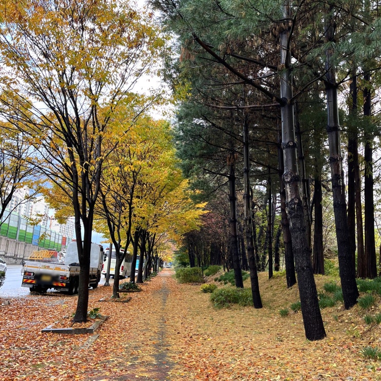  11월 둘째 주 일상(11.08 - 11.14)