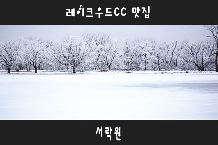  추운날 뜨끈한 국물이 생각날 땐 만두전골: 레이크우드CC맛집 서락원