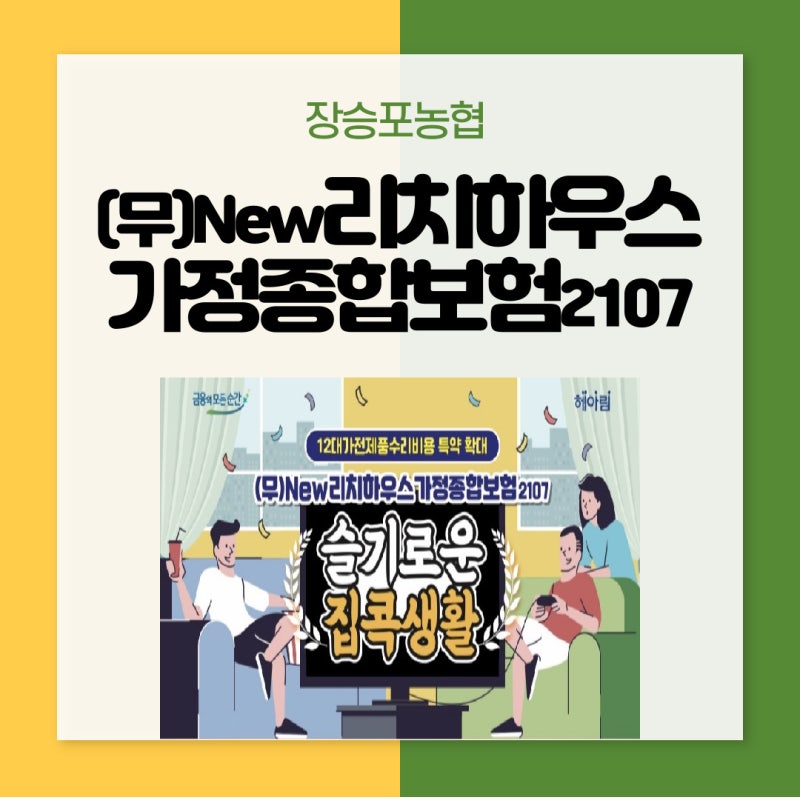 무배당 New리치하우스가정종합보험