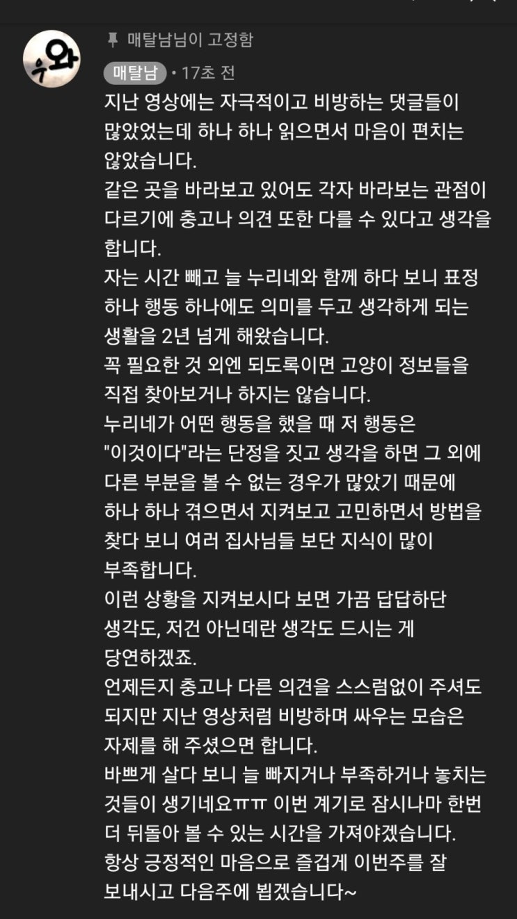  매탈남 유튜브 상황