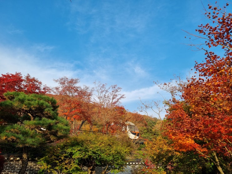  가을 화담숲 나들이 후기