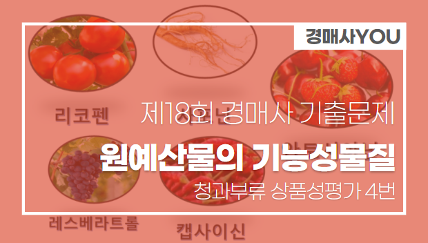  [제18회 기출문제 풀고 경매사 되기] 청과부류 상품성평가 4번 "원예산물의 기능성물질에 대해서 공부합시다"
