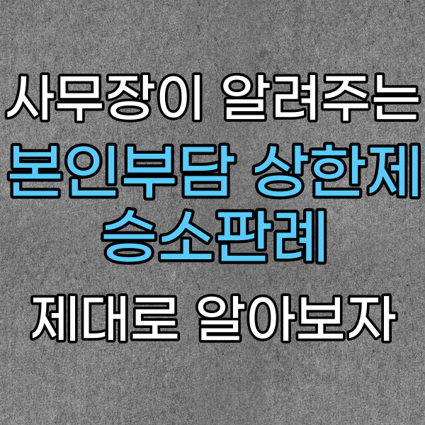 본인부담상한제 승소 판례, 반환하지 말라는 판결났다.