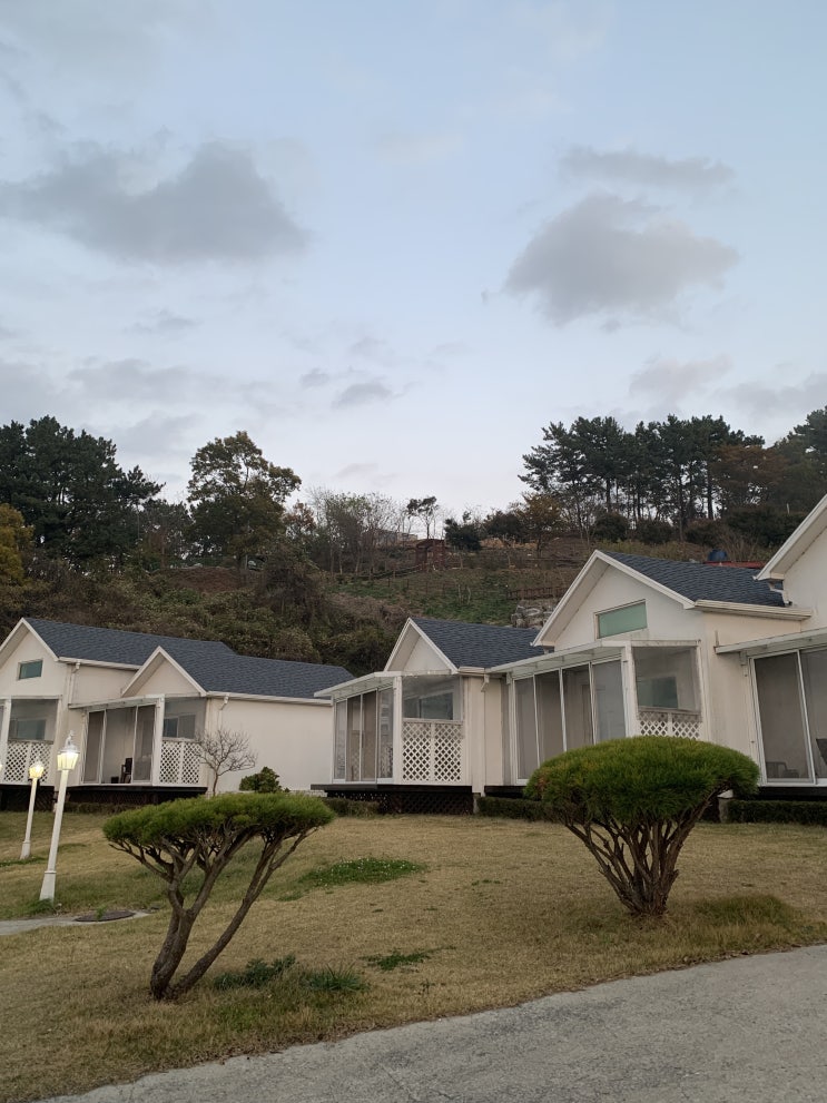  태안 펜션 신두리 해안사구 근처 숙소 풀빌라 채플힐펜션