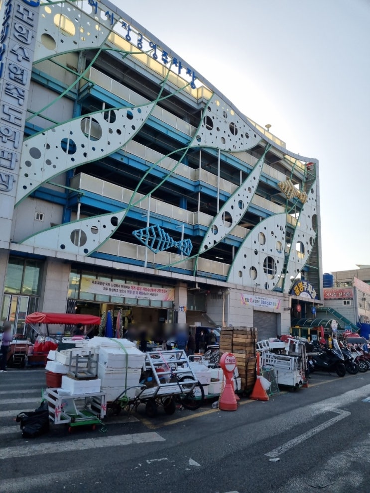  포항 죽도시장