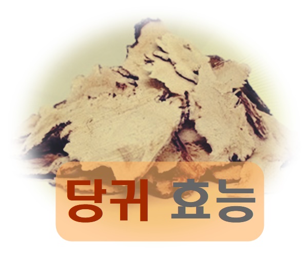 당귀효능 6가지 알고 먹어요