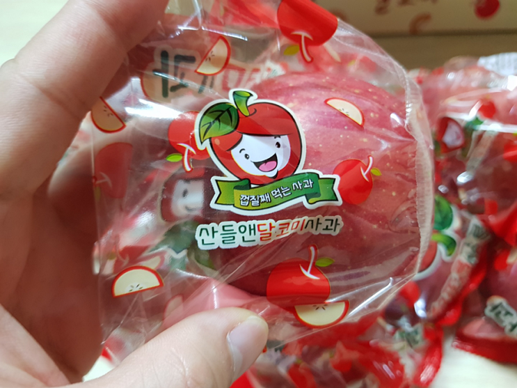 껍질째먹는사과 '문경마중 달코미사과' 껍질째먹는사과 '문경마중 달코미사과'