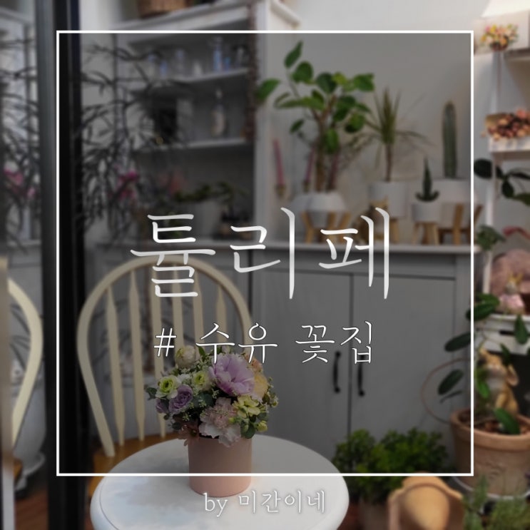  #수유 꽃집_아담하지만 정성 가득한 '튤리페' / 센터피스 후기 / 꽃 오래 유지하는 법