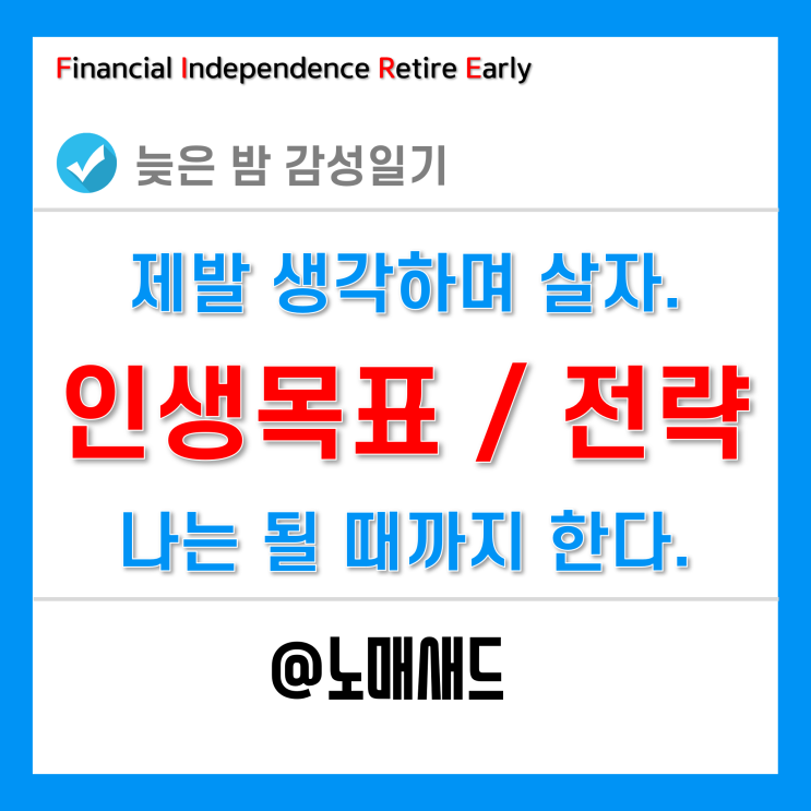 늦은 밤 나의 이야기 - 인생목표와 전략(사진 없는 긴 글) 늦은 밤 나의 이야기 - 인생목표와 전략(사진 없는 긴 글)