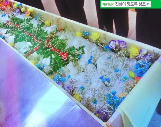  용인평온의숲장례식장 기독교 장례식 종교의 색을 가미해 드렸습니다