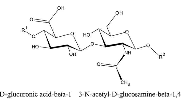  먹는 히알루론산(oral hyaluronic acid), 피부로 갈까요?