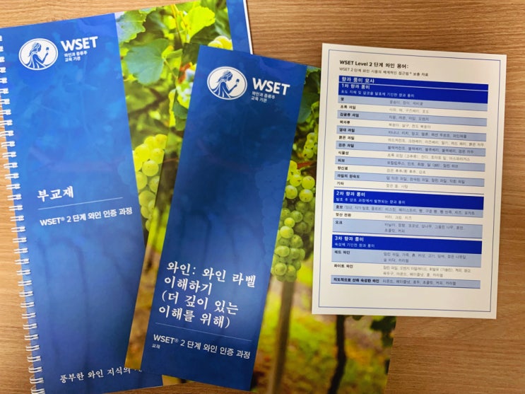 WSA 아카데미 - WSET Level2 중급과정 (Online) 수강 후기