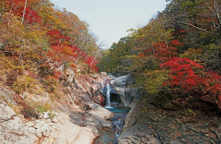 비워내는 마음 낮추는 마음