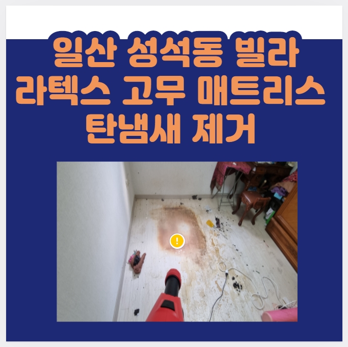  일산동구 빌라 라텍스 고무 매트리스 10시간 태운 냄새 없애는 효과적인 방법은? / 나비야놀자