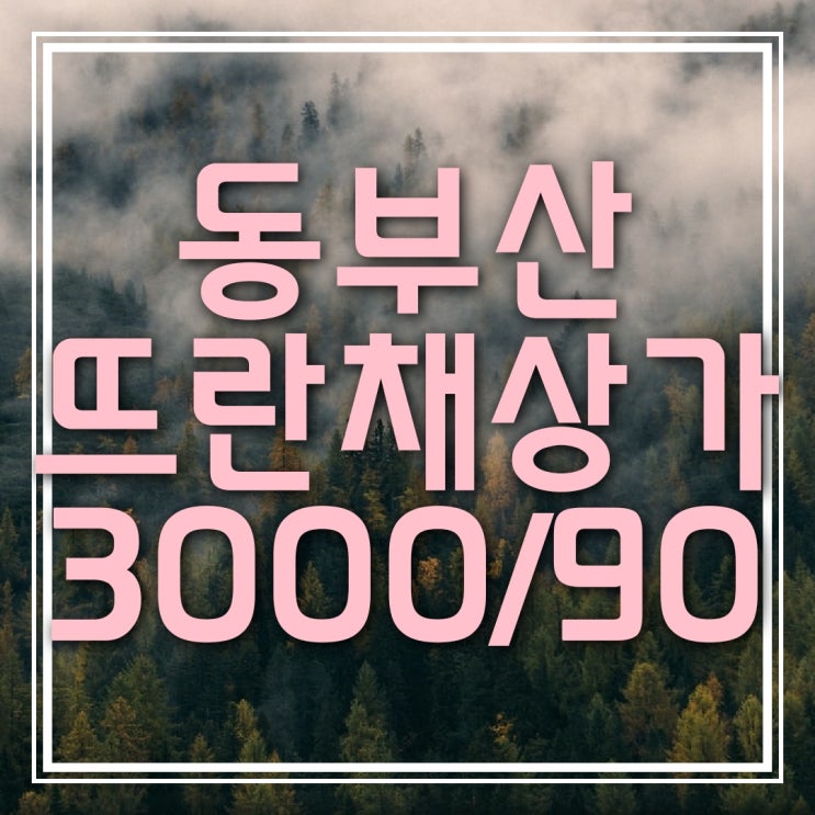  기장읍 내리 동부산 뜨란채 (내리초 인근) 상가 임대 (3000/90 49평)