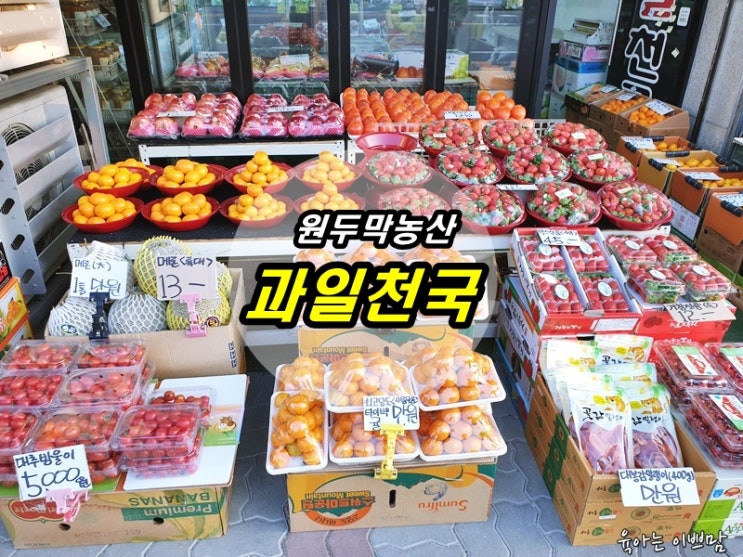  대전 과일가게, 대전 과일선물, 원두막농산 과일천국