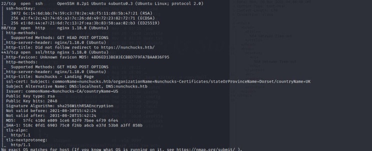  [해킹] hackthebox - nunchucks
