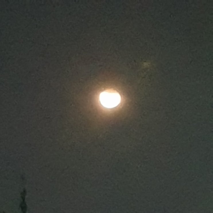  오늘 부분 월식 눈으로 볼 수 있어요
