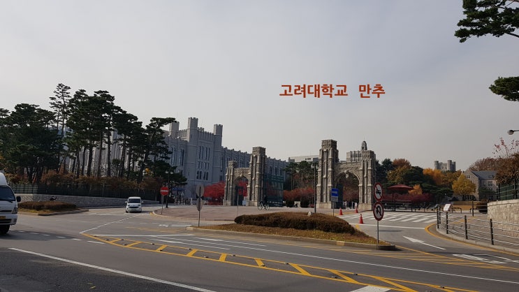  [포토]'고그와트' 고려대학교 만추(晩秋)