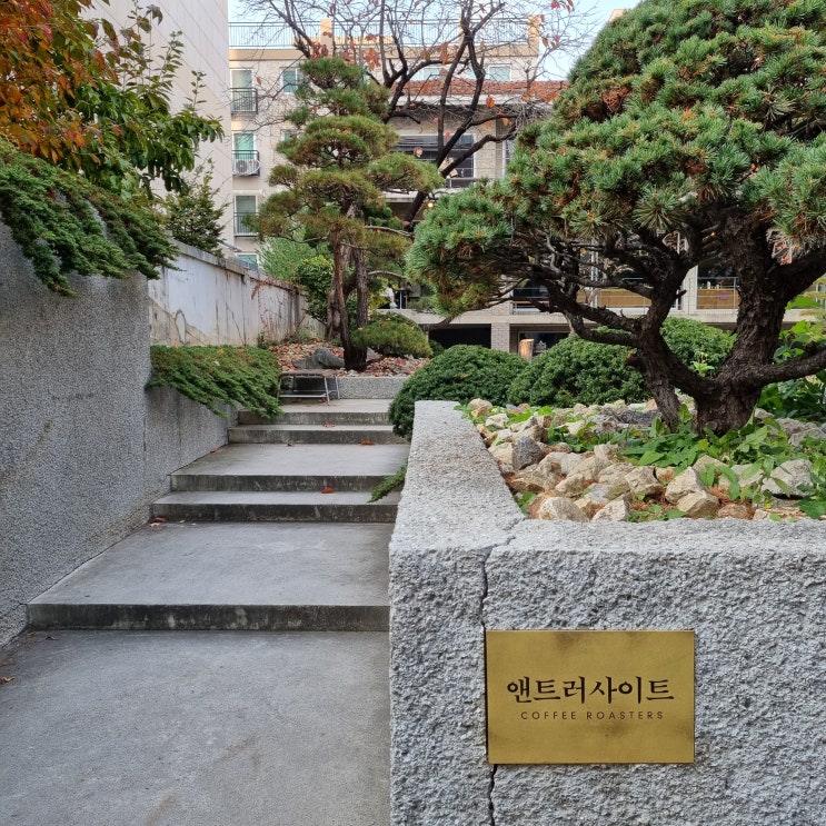  앤트러사이트 서교 - 나무 향 가득한 망원동 카페