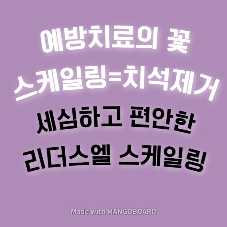  에코시티 스케일링, 세심하고 편안한 리더스엘 스케일링