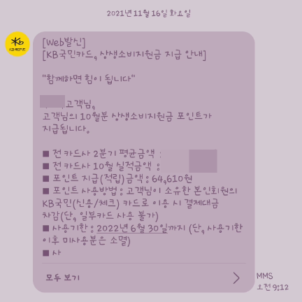  ‘1인당 4.8만원’ 상생소비지원금 10월분, 11월15일 지급