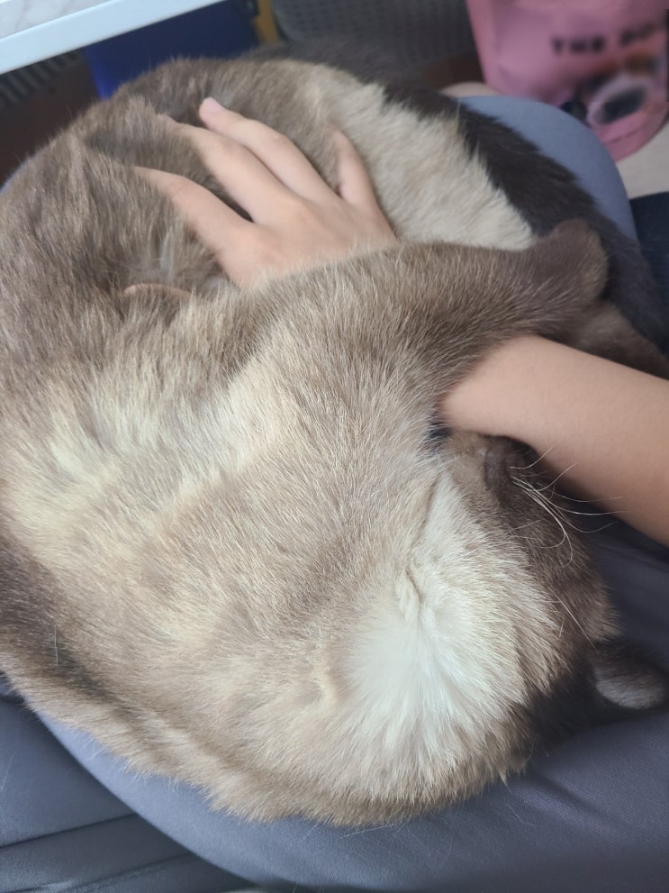  푹 빠졌어요
