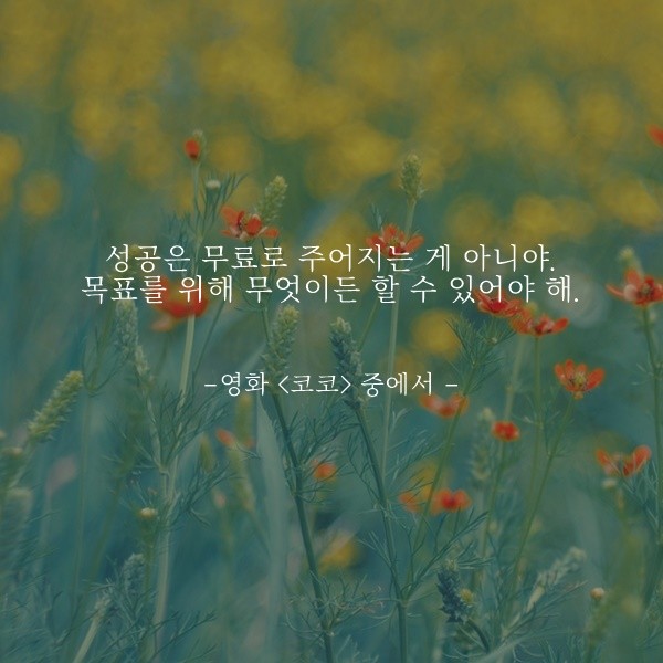  부거사이 [부동산 뉴스와 블로그] 11월 19일(금)