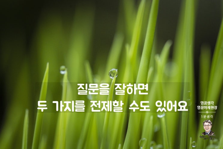  유도 질문과 우문현답, 선택의문문으로 선택 유도하기