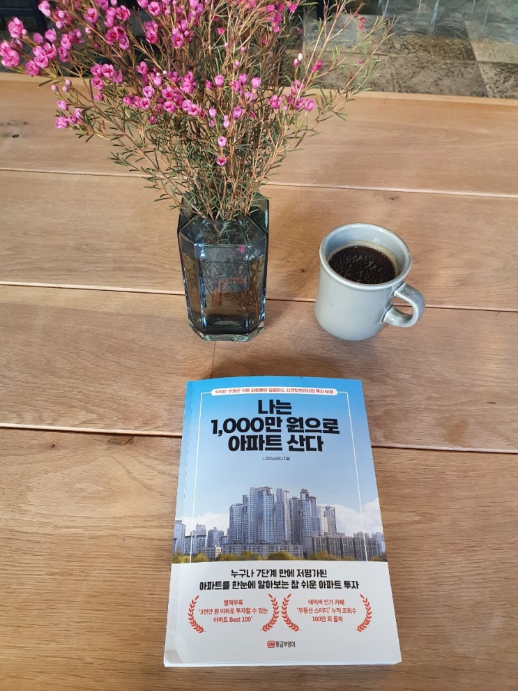 나는 1,000만 원으로 아파트 산다 서평 나는 1,000만 원으로 아파트 산다 서평