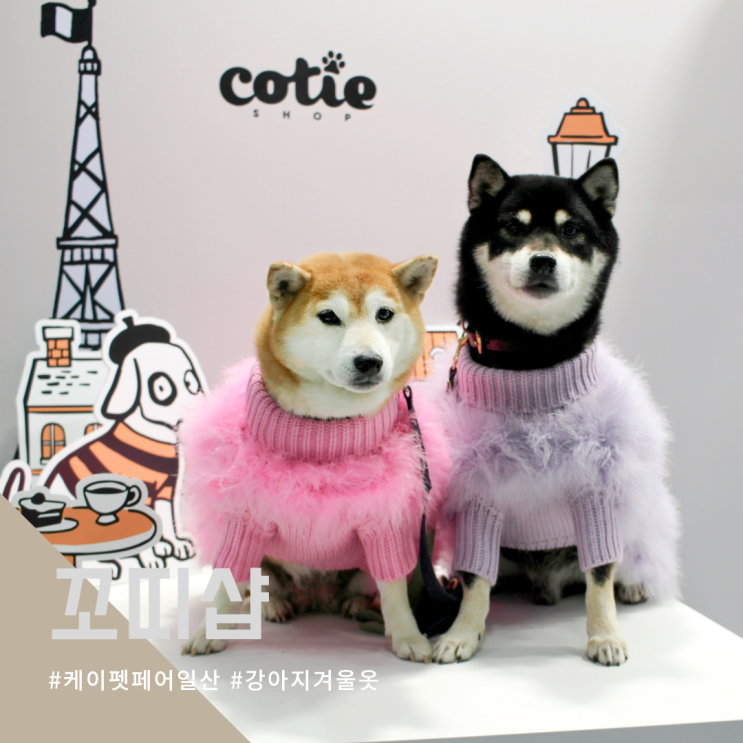  케이펫페어일산 럭셔리한 중대형견 강아지겨울옷 꼬띠샵